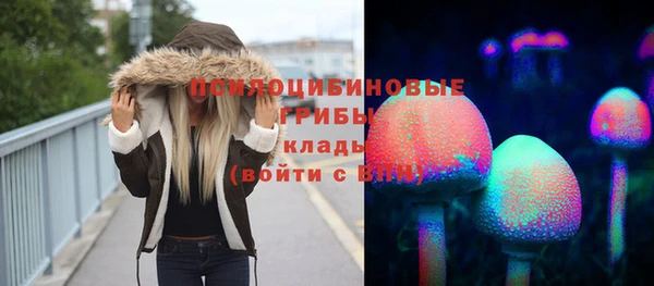 твердый Армянск