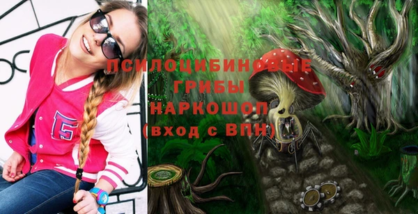 прущие крисы Арсеньев