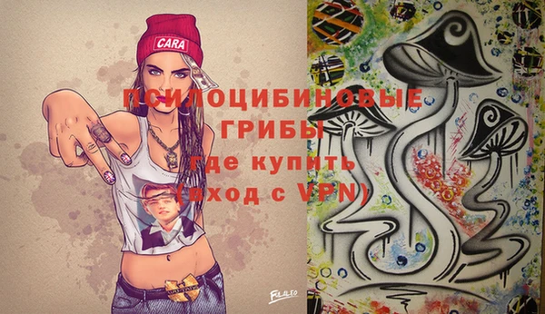 молекула духа Аркадак