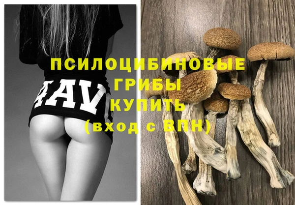 твердый Армянск
