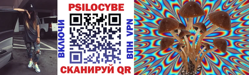Галлюциногенные грибы Magic Shrooms  цены   площадка официальный сайт  Инсар 