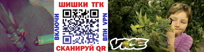 купить наркотики цена  МЕГА как войти  Шишки марихуана THC 21%  Инсар 